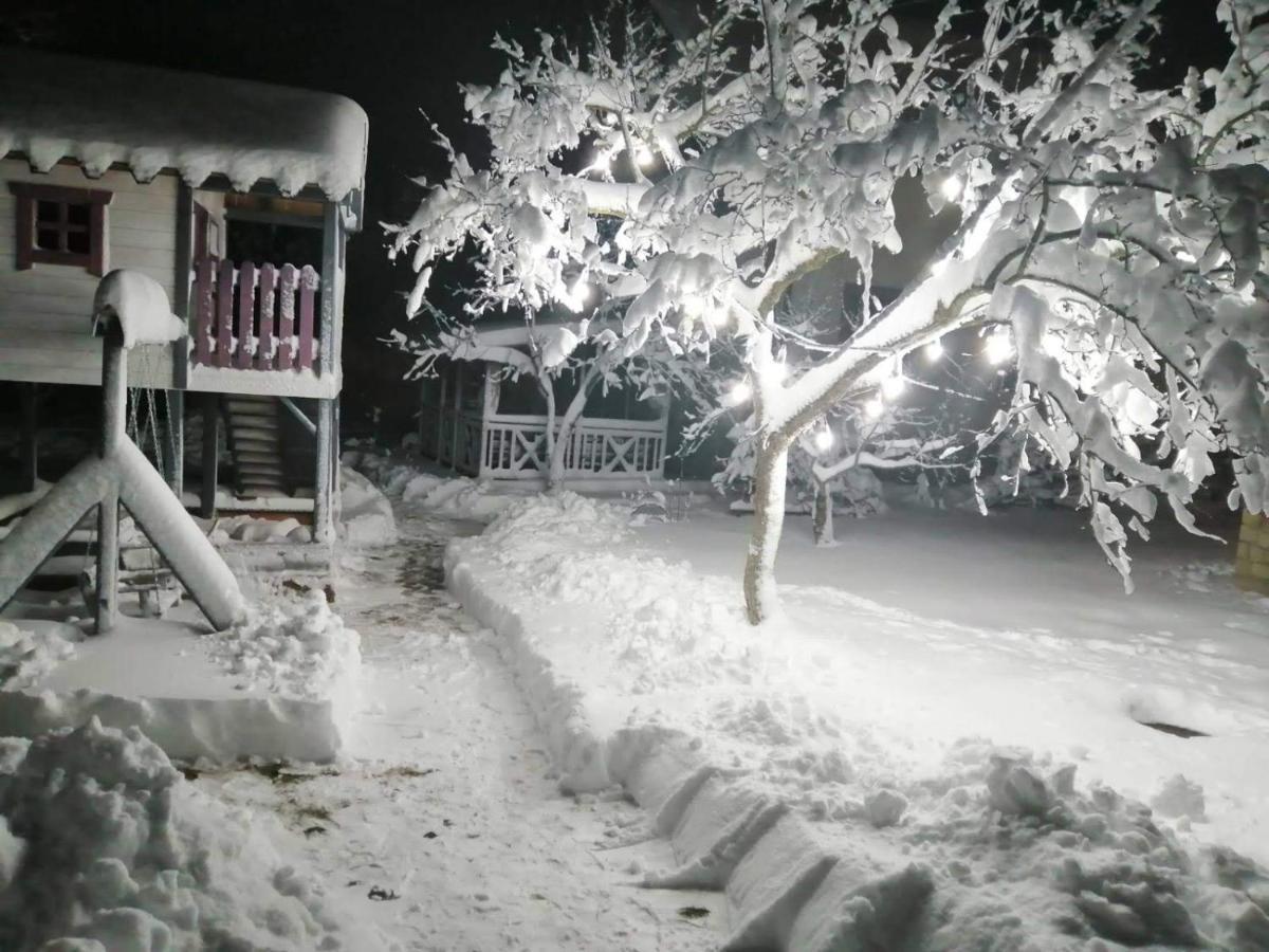 Фенікс Hotel Yaremche Exterior foto